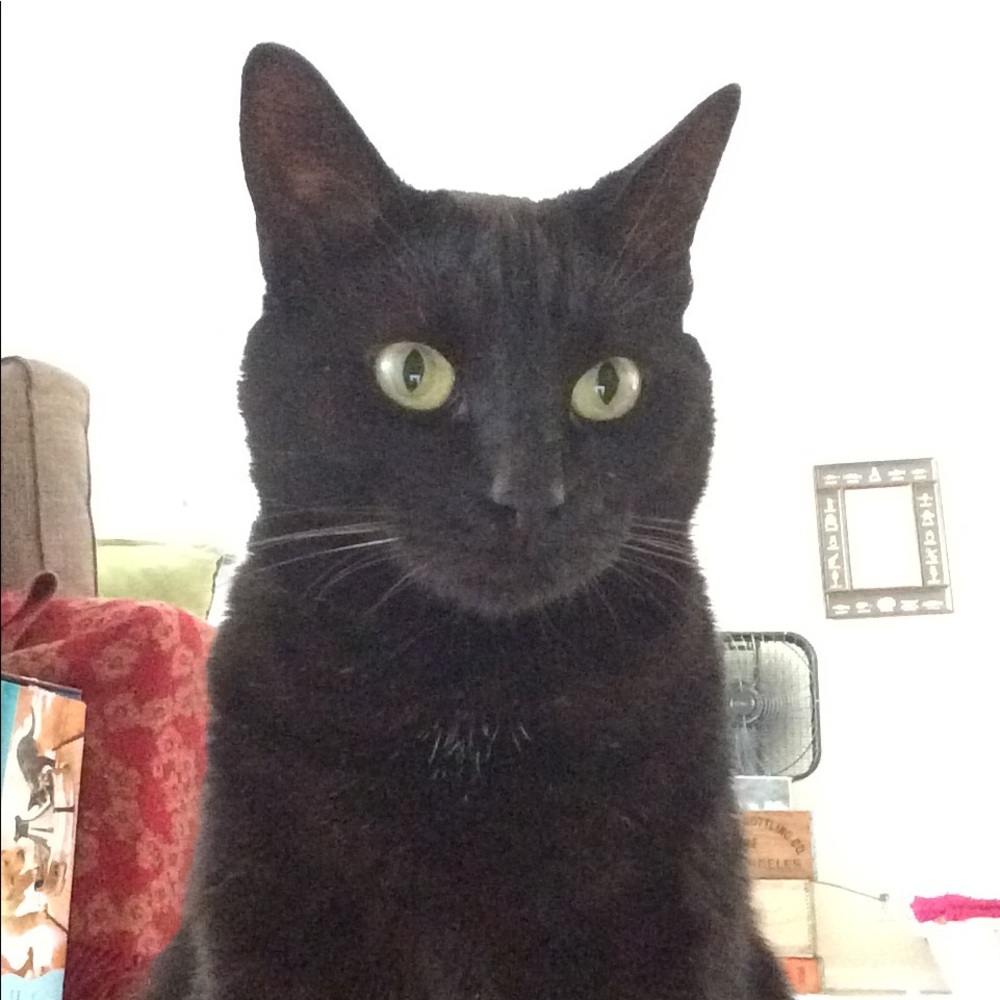 Meet your Posher, Myria